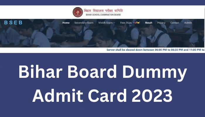 Bihar Board or BSEB Dummy Admit Card 2023