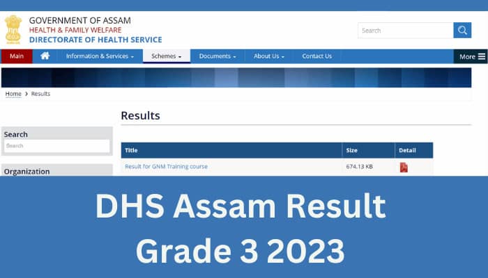 DHS Assam Result Grade 3 2023 